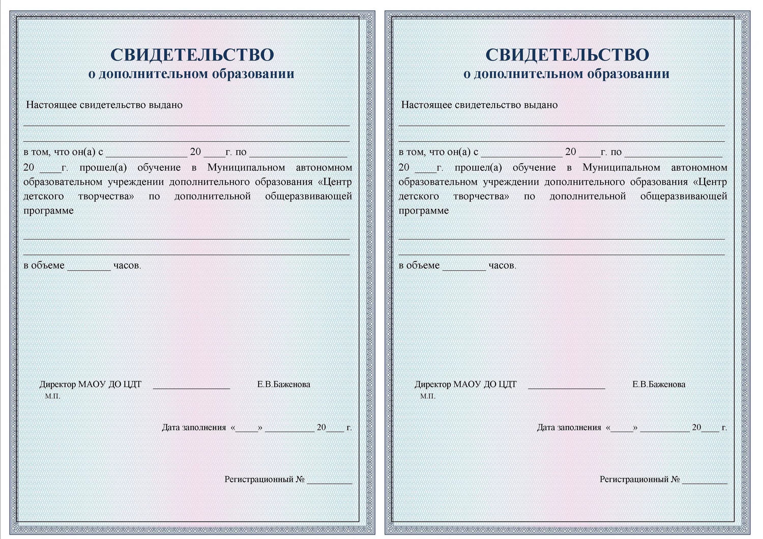 Свидетельство о дополнительном образовании. Свидетельство о дополнительном образовании образец.