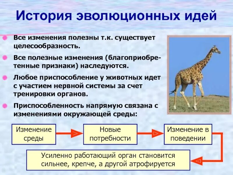 Эволюция процесс изменения