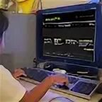 Only the net