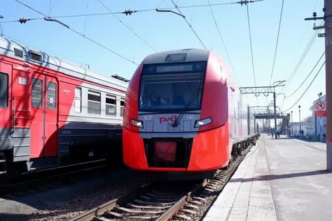 Ласточка каменск
