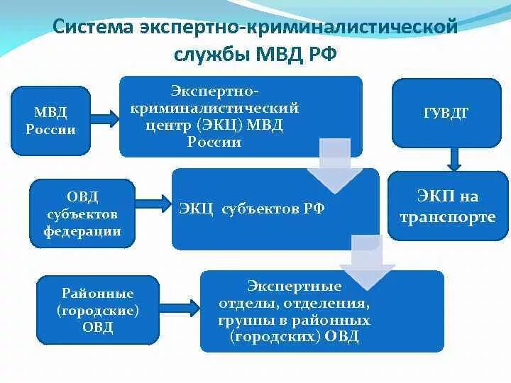 Судебно экспертное учреждение рф. Система экспертных учреждений МВД России. Схема экспертных учреждений МВД. Схема система государственных судебно-экспертных учреждений. Структура экспертных учреждений.