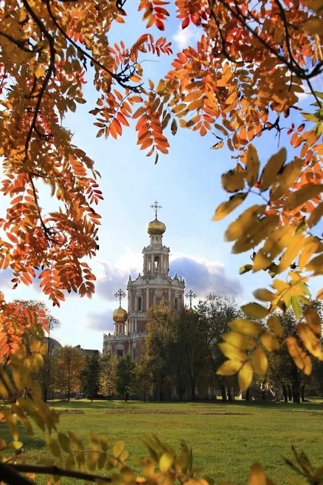 Св осень. Храм Покрова Пресвятой Богородицы осенью. Храм осень Покрова Богородицы. Покров Пресвятой Богородицы осень. Осеннее дерево и храм.