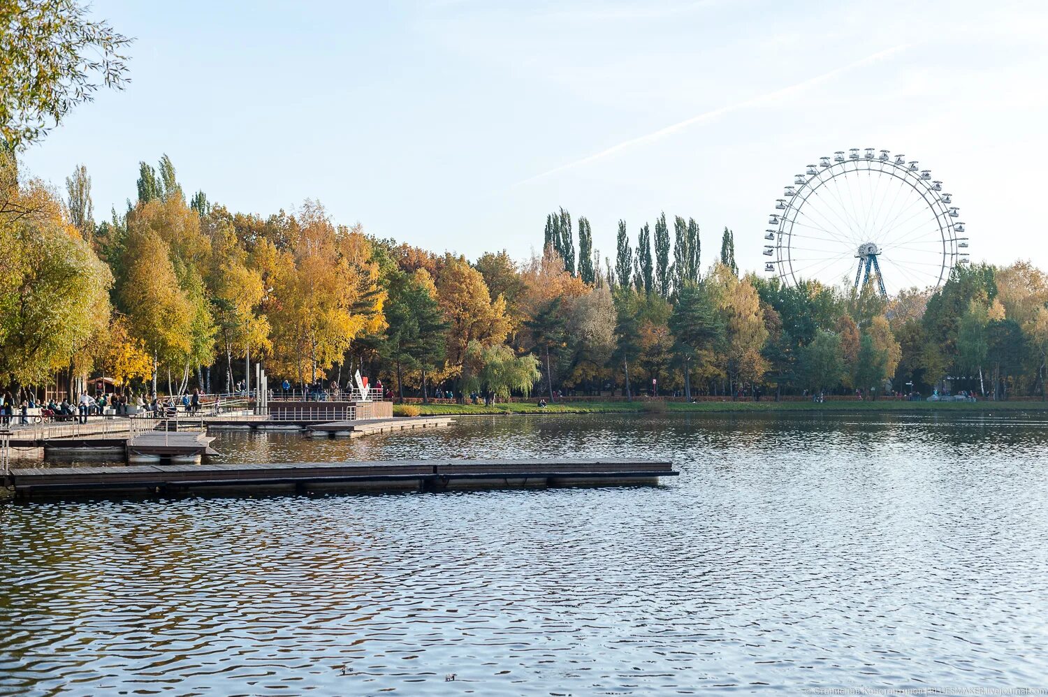 Измайловский парк московский просп 2 фото. Измайловский парк Москва. Парк культуры Измайлово. Парки Москвы Измайловский парк. Измайловский лесопарк Москва.