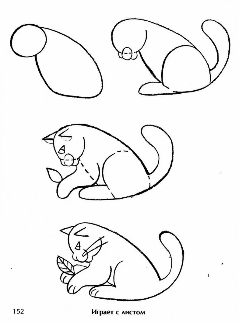 Поэтапное рисование кошки для дошкольников. Схема рисования кошки. Схема рисования кошки для детей. Этапы рисования кошки для дошкольников. Как нарисовать любое животное