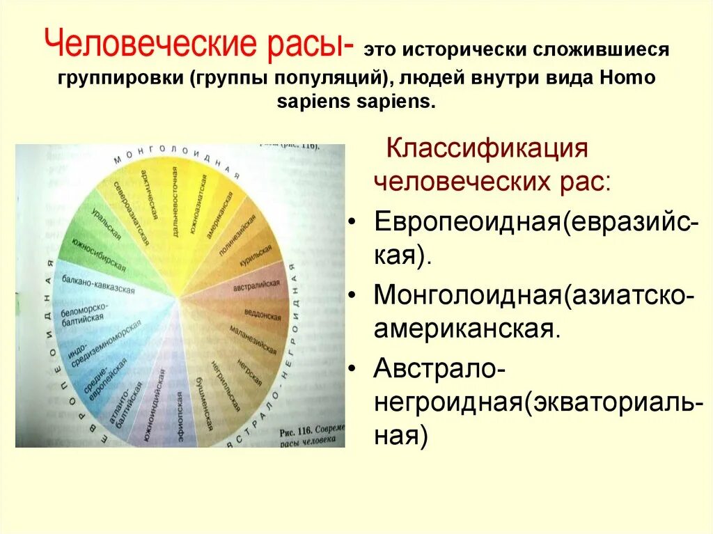 Человеческие расы причины. Человеческие расы и их происхождение. Классификация человеческих рас. Человеческие расы презентация. Расы человека их происхождение.