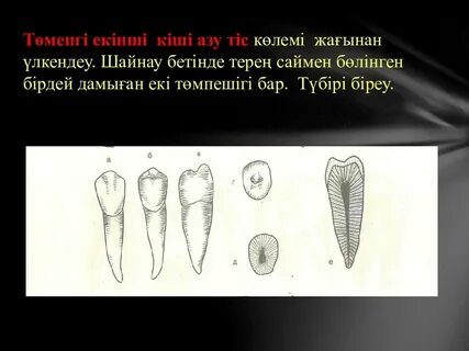 Таңертең төсекте жатқан қыз