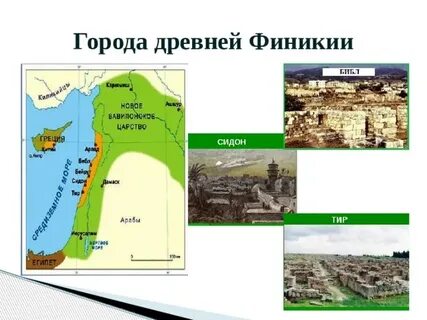 Крупнейший финикийский город название