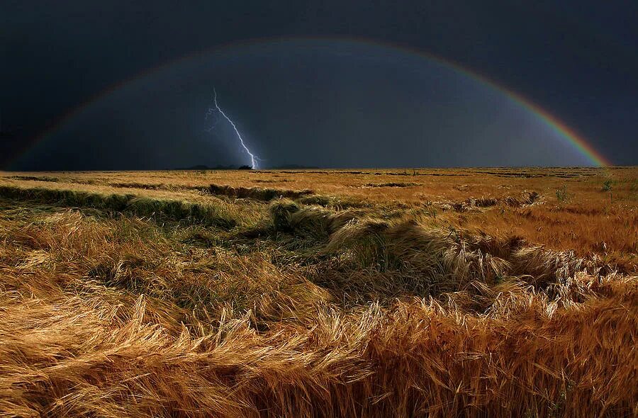 диктант гроза 2 класс. поле перед дождем. пыль стояла над полем. пыль стояла над полем. пасмурное небо в поле.