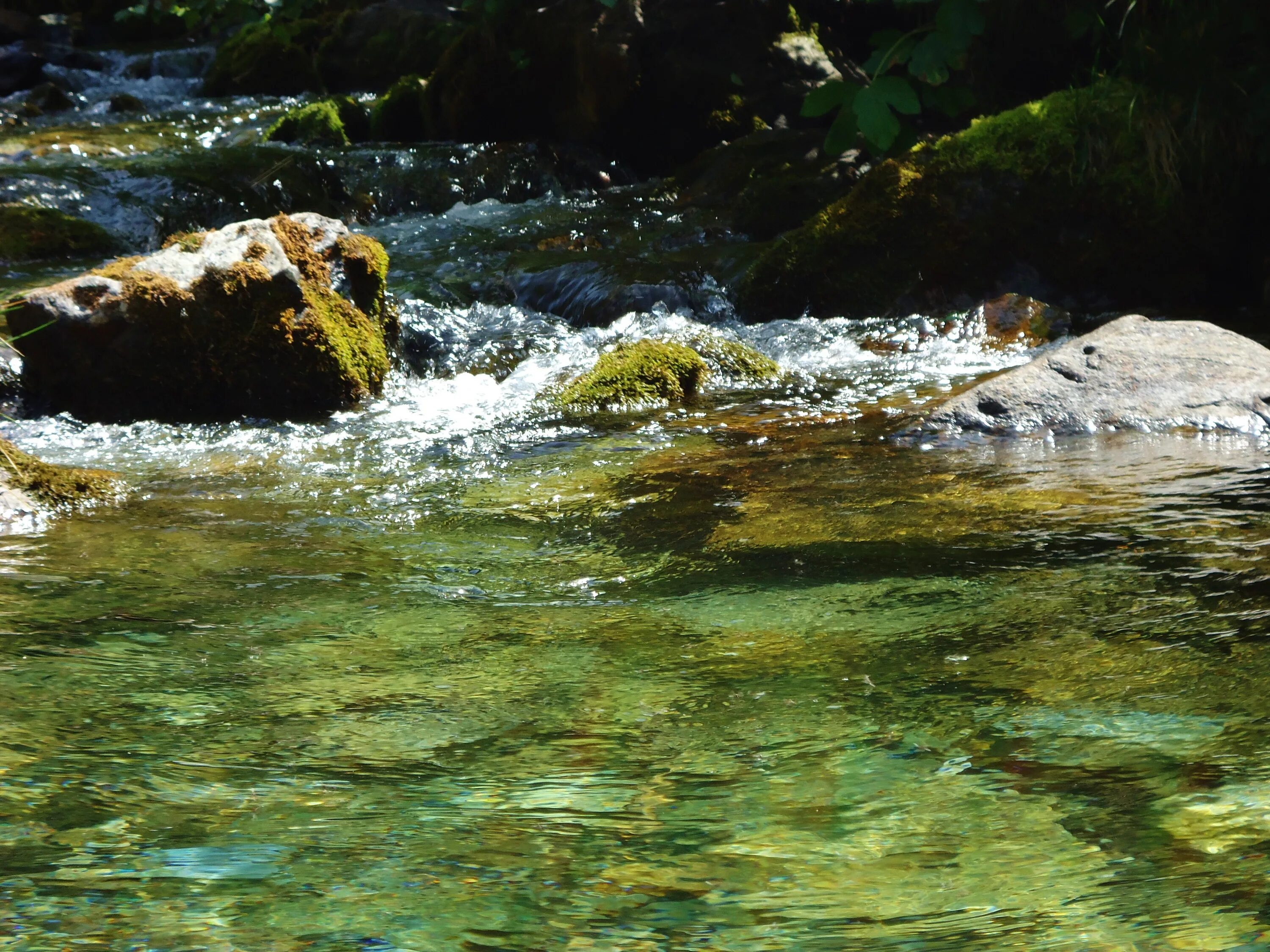 Изучая воды рек. Вода река. Природа море ручей. Вода в реке течет. Вода в горной реке.