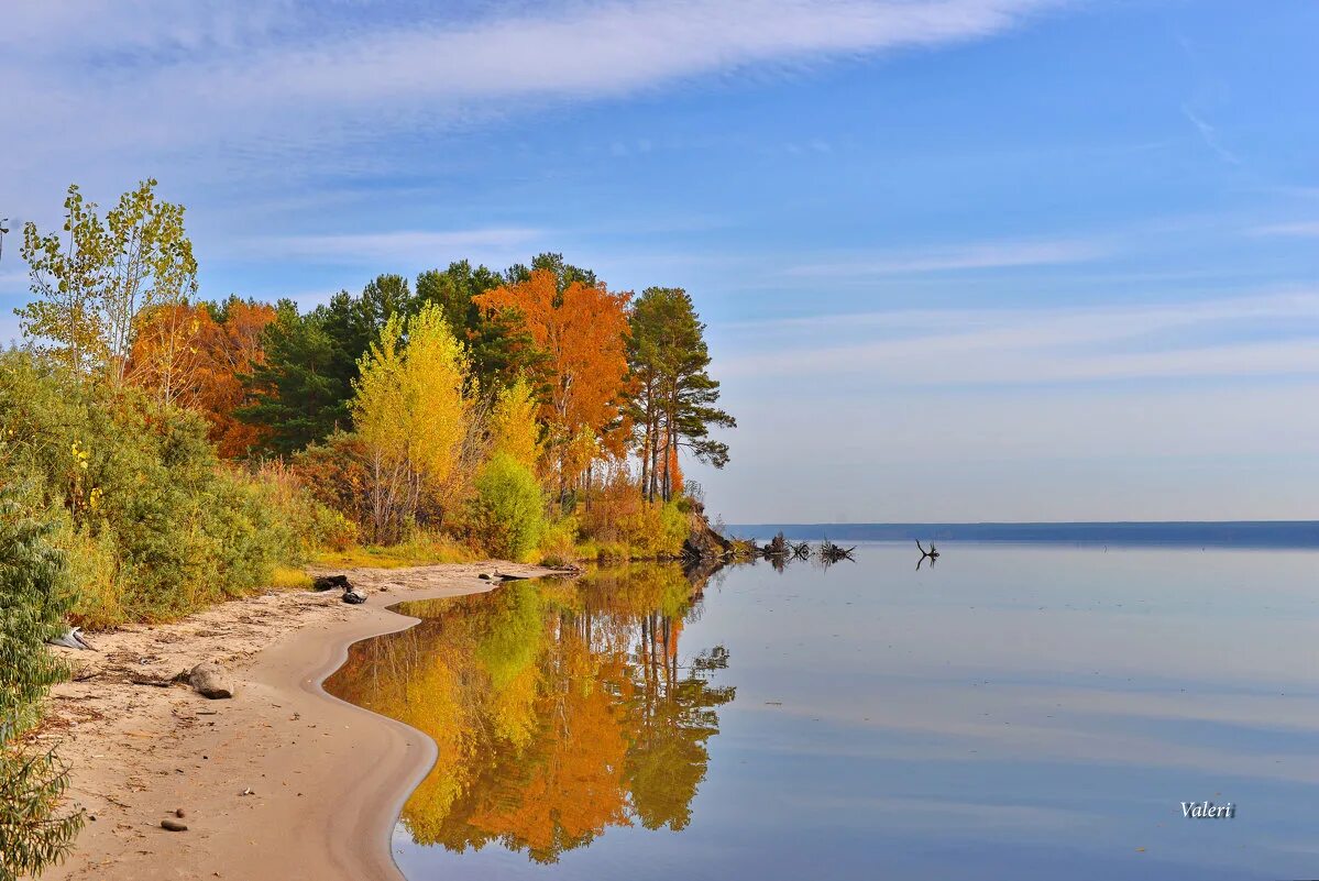 Ближний берег. Можайское водохранилище осенью. Можайское водохранилище осень. Обское море Новосибирск осенью. Завьялово Обское водохранилище.