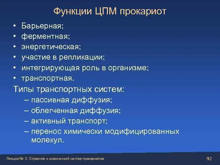 Прокариоты функции. Прокариоты строение и функции. структура цпм у прокариот. функции цпм.