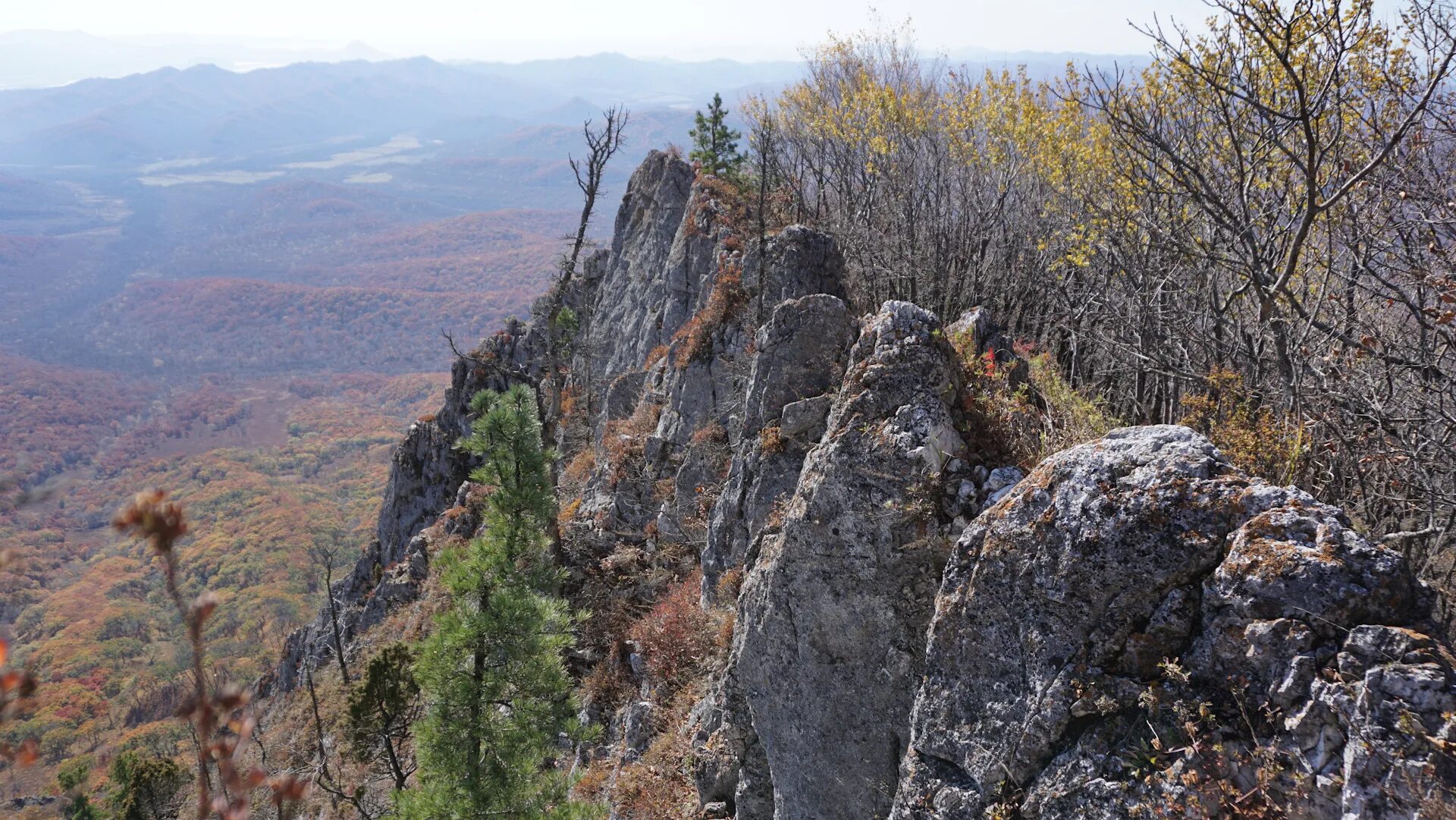 Чандолаз крупнейший древний риф егэ