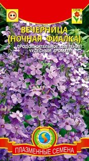 Ночная фиалка семена