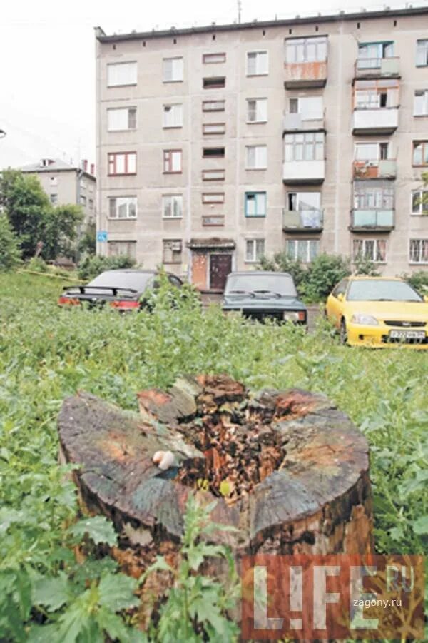 Самолет в дом в новосибирске