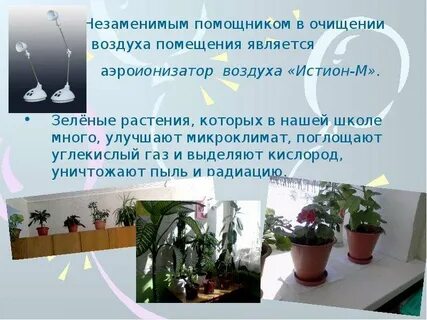 Как очистить воздух