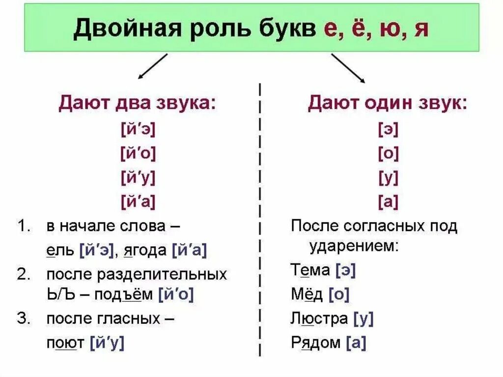 Транскрипция слова 2 класс русский язык. Транскрипция гласных звуков русского языка. Слова с йотированными гласными для фонетического разбора. Фонетический разбор буквы е. Транскрипция звука е в русском языке.