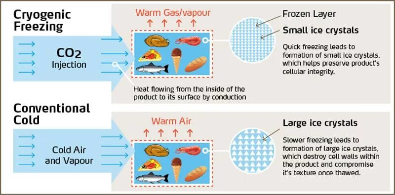As low as freezing point. Theory of slow freeze. cryogenic freezing. freezing process. shock freezing vs cryogenic.