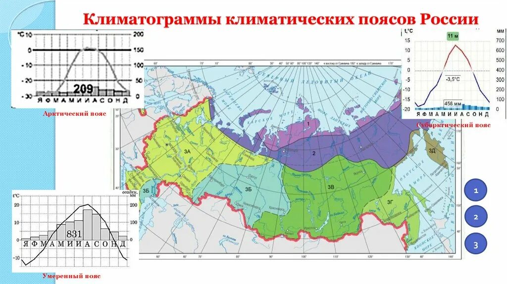 Климат умеренного пояса. Климатограмма климатических поясов России. Климатические пояса России и климатограммв. Климатограммы типов климата России. Умеренный пояс климатограмма России.