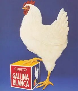 Galina blanca