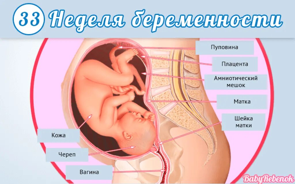 Расположение ребенка на 35 неделе. Расположение ребенка на 33 неделе. Положение ребенка в 35 недель. Шевеления на 36 неделе