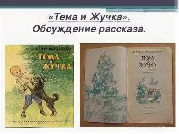 Жучка тест