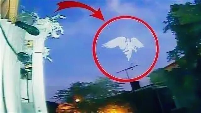 Бог реально существует. Бог реально существует. Паранормальные существа. Фото настоящего бога. Как выглядит бонгг в реальной жизни.