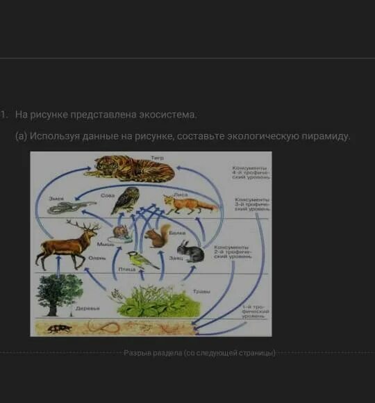 Экосистема. Экосистема представлена. Экосистема озера Байкал. Экосистема картинки. Изучите фрагмент экосистемы тундры