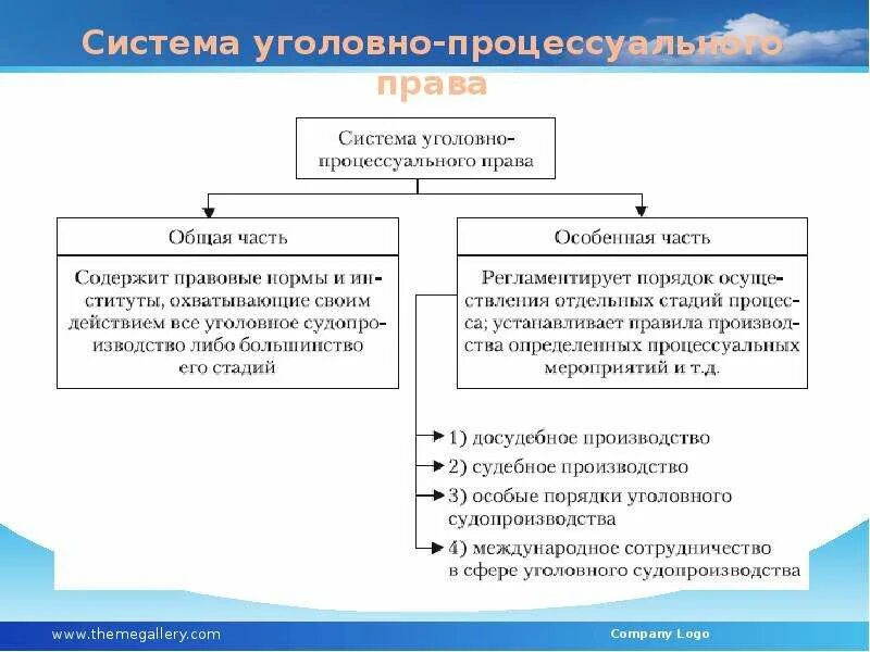 Уголовно процессуальные элементы