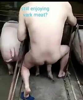 Man Fucks A Pig Porn.