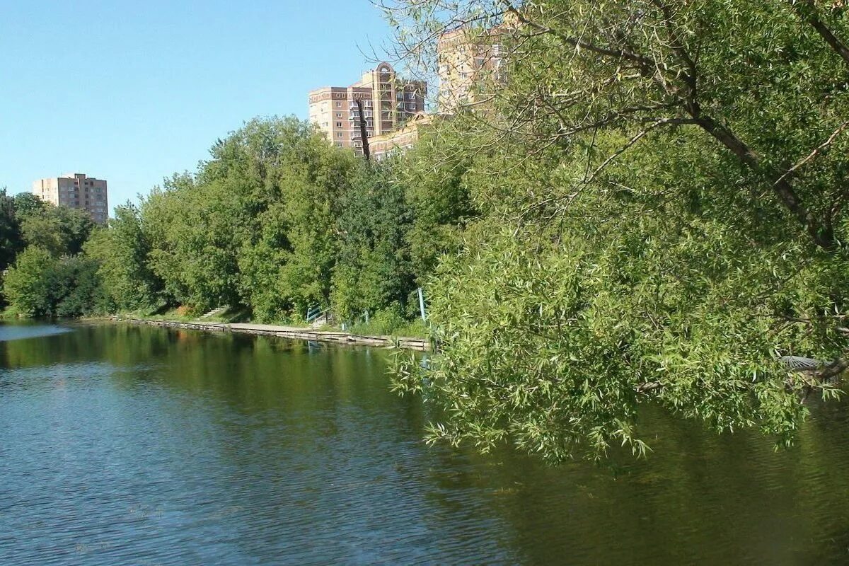 парк сокольники аллея арок. парк сокольники. таганский парк 2022. парк горького питер. ближайшие парки москвы.