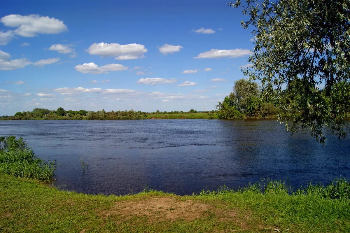 Река днепр в белоруссии фото. Днепр в быхове. Днепр быхов. Днепр разливается в городе быхове. Ресторан днепр быхов.