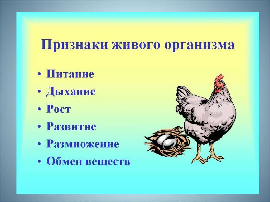 Признаки живого. Признаки живых организмов. Приданки живого организма. Признаки живыъь организмов. Питание дыхание движение