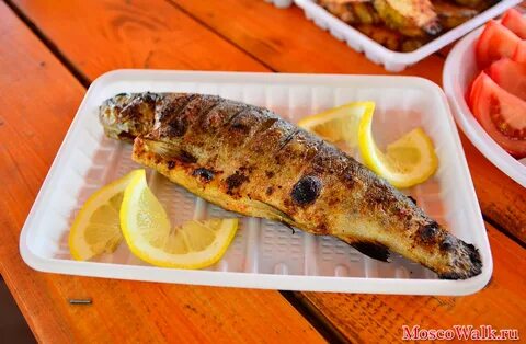 Мисайлово trout