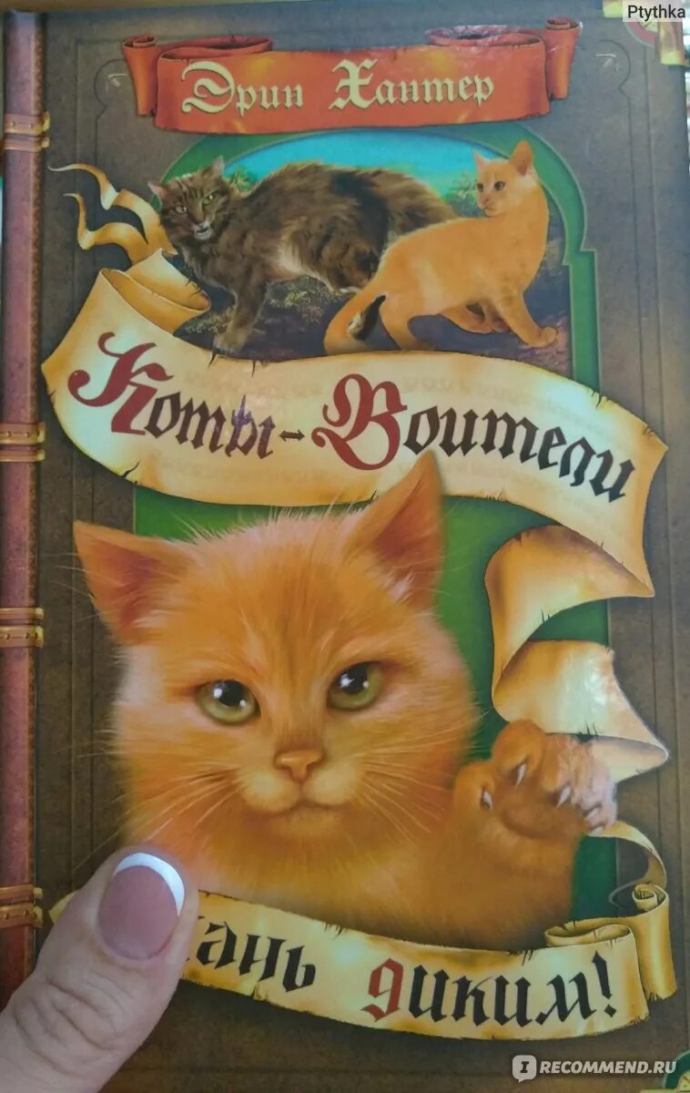 Коты воители книги лес секретов. Хантер эрин &quot;лес секретов&quot;. лес секретов эрин хантер книга. коты воители книга лес секретов. стань диким! эрин хантер книга.