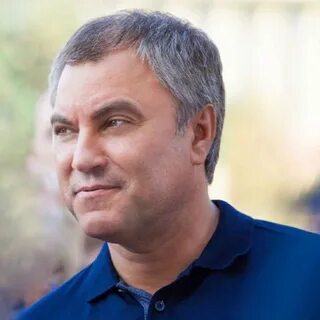 Володин нетрадиционная ориентация спикер госдумы