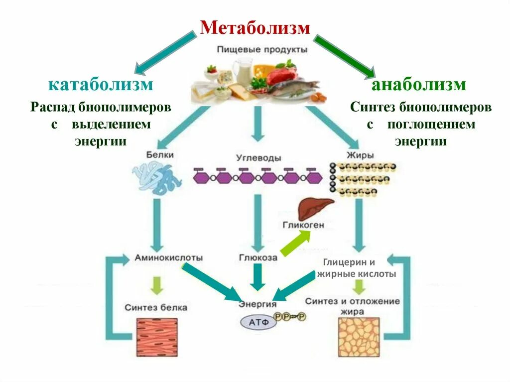 Энергия продуктов распада