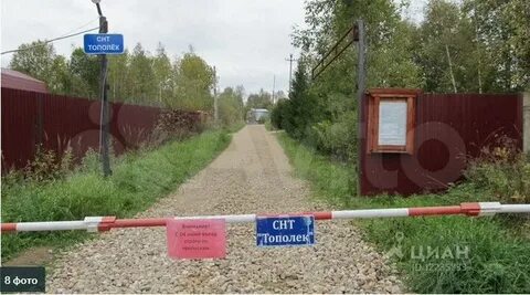 Погода артемки шаховской