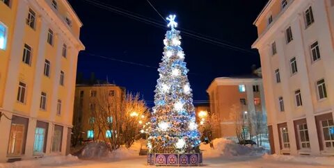Елка в кировске