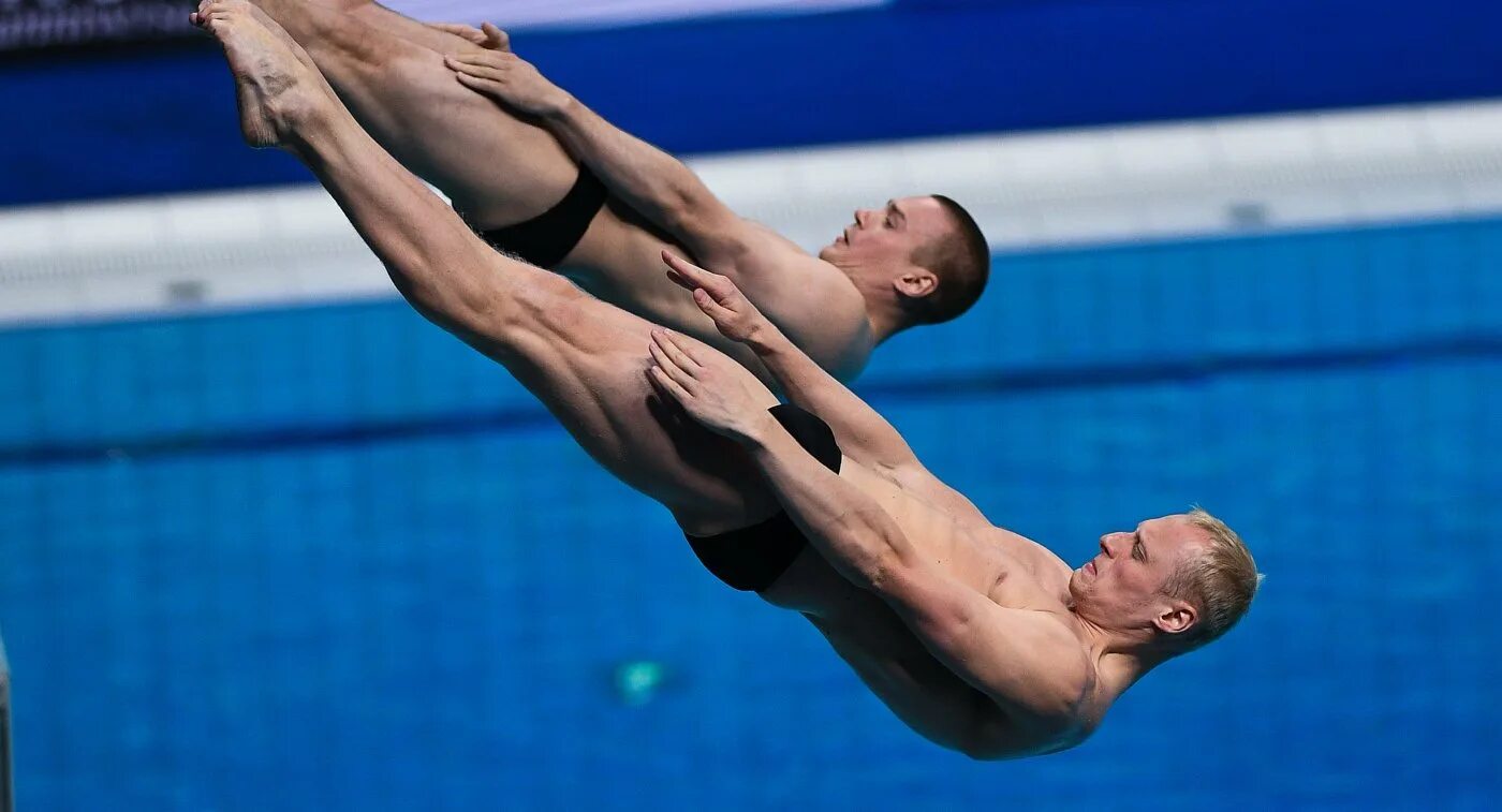 Прыжки в воду чемпионат россии