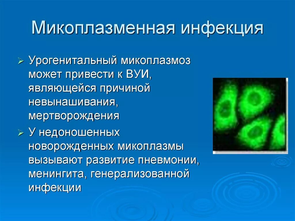 Урогенитальная микоплазменная инфекция. Респираторная микоплазма. Болезни вызываемые микоплазмами.