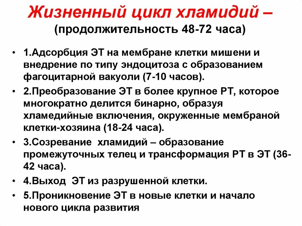 Хламидия в организме. Патогенез хламидии трахоматис. Цикл развития хламидии трахоматис. Жизненный цикл хламидий. Патогенез хламидиоза.