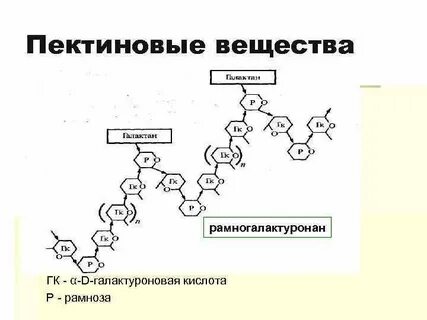 Пектиновые вещества