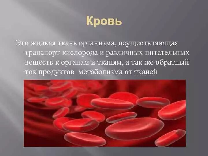 Кровь в организме выполняет функцию питательную. Кровь жидкая соединительная ткань. Жидкая ткань организма.