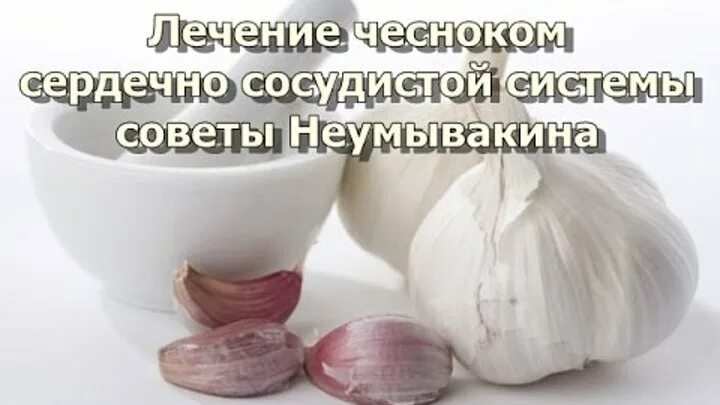 Сосновые иголки для чистки сосудов. Лимон чеснок. Чеснок при атеросклерозе. Чеснок при язве. Чеснок для сосудов.