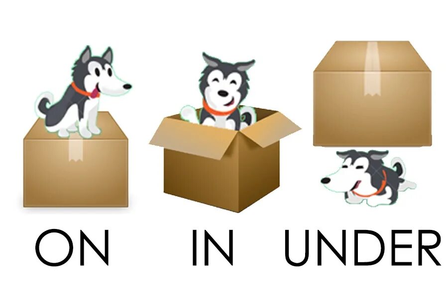 In on under. Предлоги in on under by. Prepositions in on under. Предлоги on in undеr.