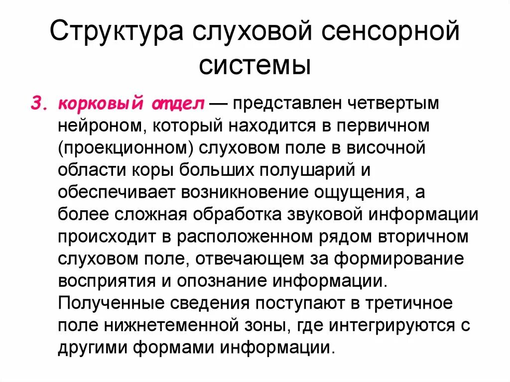 Центральный отдел слуховой сенсорной системы физиология. Характеристика отделов слуховой сенсорной системы. Слуховая сенсорная система рецепторный корковый отделы. Корковый отдел слуховой сенсорной системы.