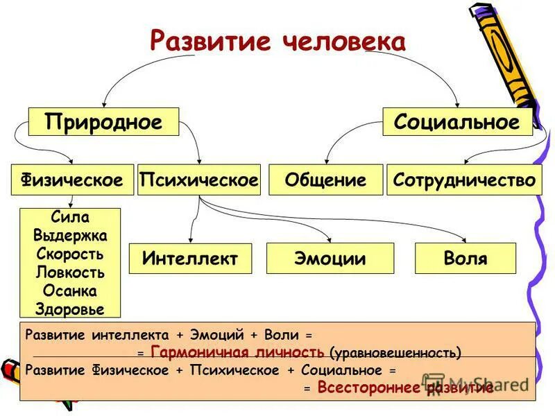 Соответствие природного и социального. Развитие человека физика.