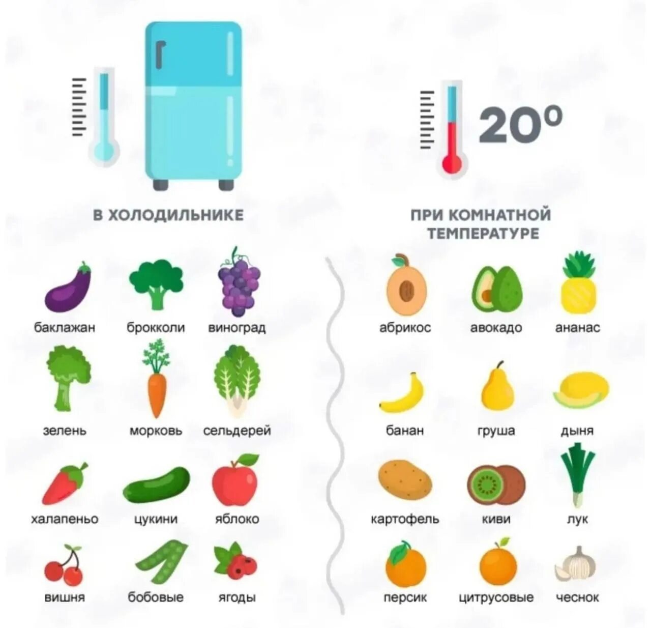 Сколько нужно держать холодное. Правильное хранение овощей и фруктов. Инфографика хранение овощей и фруктов. Где правильно хранить фрукты и овощи. Какие овощи хранить в холодильнике.