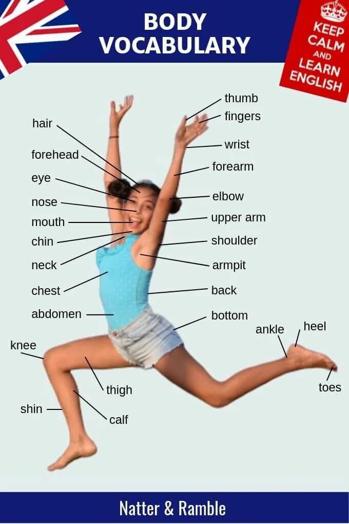 Body Parts на английском. Части тела на англ Vocabulary. Parts of body Vocabulary английский язык. Части тела на английском спина. Foot по английски