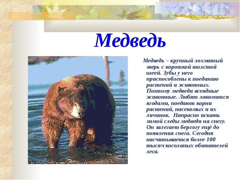 Сообщение о животном 2 класс окружающий мир. Сообщение о лесных животных. доклад о лесных животных. доклад про животных 4 класс. доклад о животном леса.